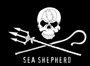 Sea Shepherd Conservation Society
